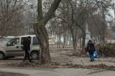В центре Николаева массово спиливают деревья — ветки кучами лежат на улицах 