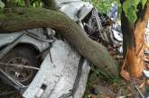 18-летний парень на «Волге» врезался в дерево: водитель и пассажир погибли на месте, их товарищ госпитализирован