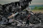 Катастрофа "Боинга" MH17: в РФ заявили о готовности к переговорам с Нидерландами