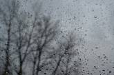 Дождь с мокрым снегом и порывы ветра: завтра в Николаеве ухудшится погода