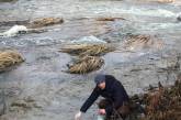 В Житомирской области речка Хомора стала серой от сбросов неизвестного вещества