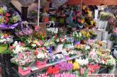 От 40 до 800 гривен: сколько стоят цветы в Николаеве в День влюбленных