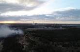 В Чернобыльской зоне горел лес