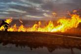 На Николаевщине выгорели гектары камыша и сухой травы. Орудуют браконьеры? ВИДЕО