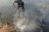 В Николаевской области за три дня произошло 22 пожара