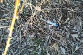 «Наркоманы обнаглели»: николаевцы жалуются на шприцы, разбросанные по парку