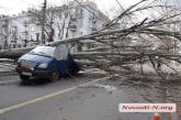 Из-за упавшего в центре Николаева дерева изменено движение троллейбусов