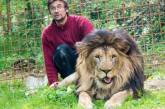 В Чехии домашний лев растерзал своего хозяина