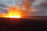 На Николаевщине за сутки огнем уничтожено более 5 га сухой травы и камыша 