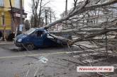 В Николаеве завели уголовное производство по факту падения тополя на «Газель»