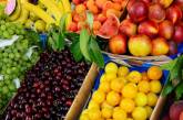 Украина рекордно экспортировала фрукты и орехи