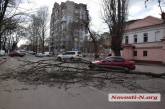 В Николаеве упавшее дерево загородило проезжую часть по ул. Московской