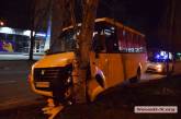 В центре Николаева маршрутка врезалась в дерево: четверо пострадавших 