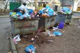 Николаевцы массово жалуются на неубранный мусор в разных точках города 
