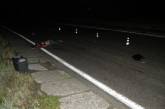 Ночью неизвестный водитель насмерть сбил девушку и скрылся с места ДТП.  ФОТО