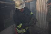 Николаевские пожарные спасли из огня трех щенков