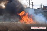 В Николаеве масштабный пожар: неизвестные подожгли камыш. ВИДЕО