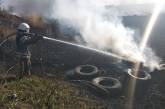 На Николаевщине спасатели вновь тушили масштабные пожары сухостоя и камыша