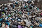 «Машины уже заказаны!», - николаевцы хотят отвезти мусор со свалки в горсовет