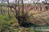 Житель Николаевщины нашёл в лесополосе противотанковую гранату