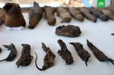 В древнеегипетской гробнице археологи нашли десятки нечеловеческих мумий