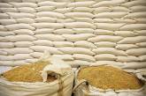 В Украине увеличился экспорт зерновых