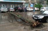 В Николаеве на ул. Бузника на дорогу рухнуло дерево, полностью перекрыв проезд