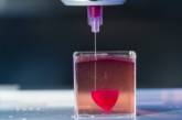 Израильским ученым удалось напечатать на 3D-принтере живое сердце