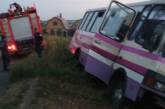 На Николаевщине пассажирке слетевшего в кювет автобуса выплатят 29 грн страховки за перелом позвонка