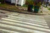 В Николаеве, пройдя по «зебре», пешеходы попадают в мусорку. ФОТО