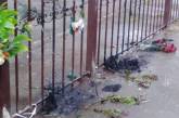 Появилось видео поджога памятных табличек в Одессе