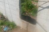 На николаевском полигоне продолжают появляться дырки в заборе и подкопы