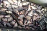 За неделю в Николаевской области браконьеры выловили более четверти тонны рыбы