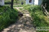 На Николаевщине женщина обухом топора насмерть забила сожителя