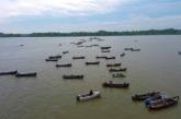 Рыбаки в Одесской области перекрыли Дунай из-за сельди