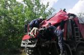 На Николаевщине столкнулись два грузовика: травмированного водителя доставали спасатели