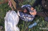 На Николаевщине задержали браконьера за незаконный вылов креветки