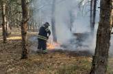 На Николаевщине неизвестные подожгли Балабановский лес