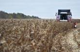Минагрополитики ожидает рекордный урожай зерновых