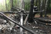 Крушение Ми-8 под Ровно: в сети появились фото с места трагедии