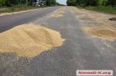 На трассе под Николаевом из зерновоза высыпалось более 5 тонн сои