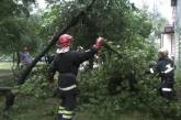 В Херсонской области ветер сорвал крыши с 50 зданий и повалил деревья