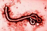Зафиксирована вторая крупная вспышка смертоносной лихорадки Эбола