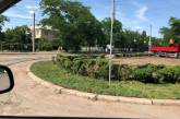 Найдена небольшая часть газона с площади Соборной — его «подселили» к кустам самшита