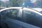 В Николаеве пьяный мужчина разбил полицейским стекло в авто. Видео