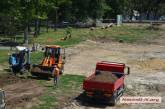 В рамках реконструкции площади Соборной в Николаеве спилили 45-летние ели