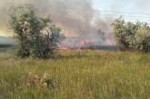 В Николаеве и области за сутки возникло 12 пожаров
