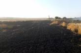 На Николаевщине за один день сгорели поля площадью 33 га