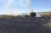 На Николаевщине сгорело 2,5 га пшеницы - подозревают поджог