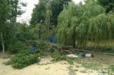 Умерла вторая женщина, на которую упало дерево на базе отдыха под Харьковом